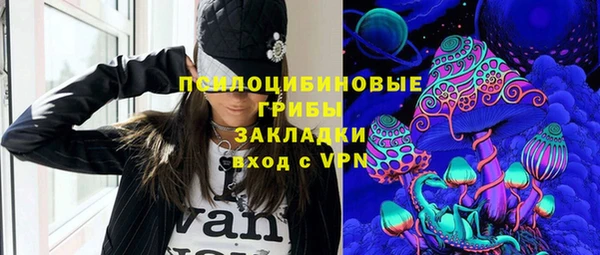 тгк Арсеньев